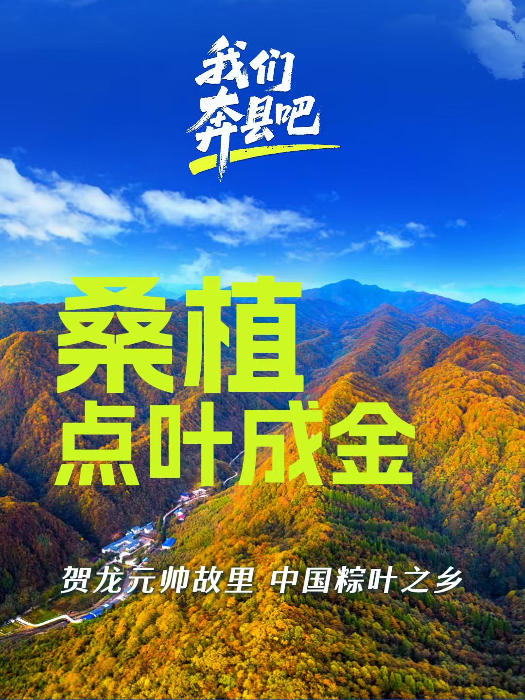 桑植:点叶成金