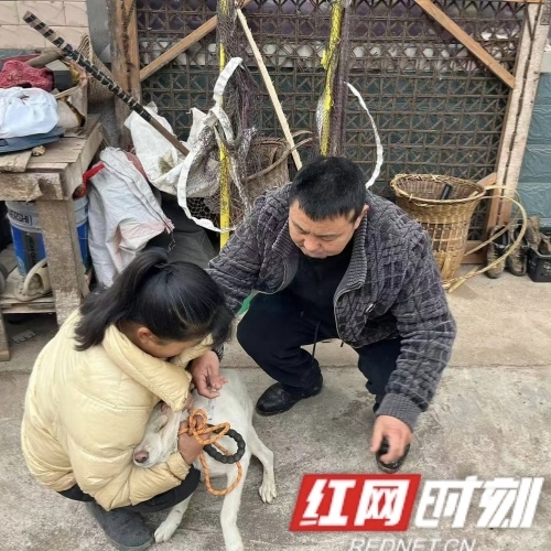 犬只2红网修改.jpg 犬只2红网修改.jpg