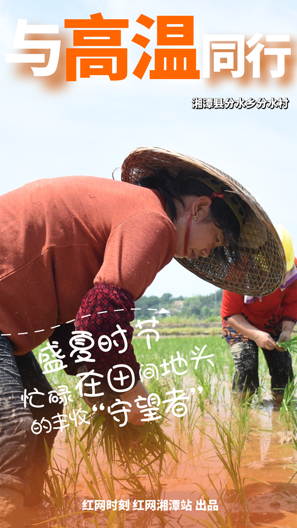 图怪兽_0f527dfe94918c919aaf6c7a9687741e_12052.png
