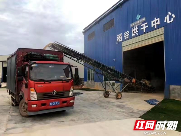 工作人员将收购的粮食进行入库 .