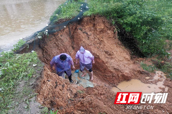 图片10.jpg