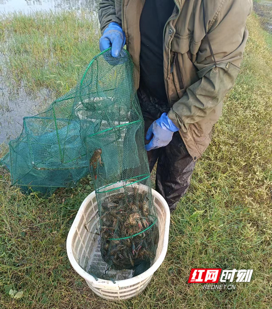 WechatIMG11副本.jpg