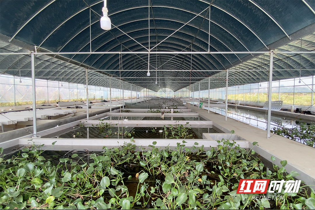 截屏2023-11-11 上午9.32.28.jpg