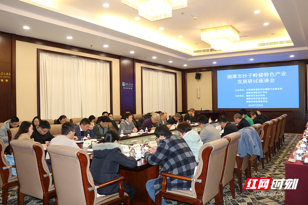 WechatIMG293副本.jpg WechatIMG293副本.jpg