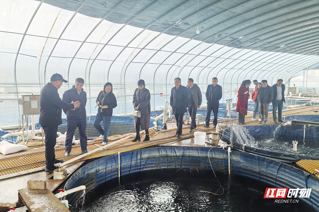 WechatIMG1145副本.jpg WechatIMG1145副本.jpg