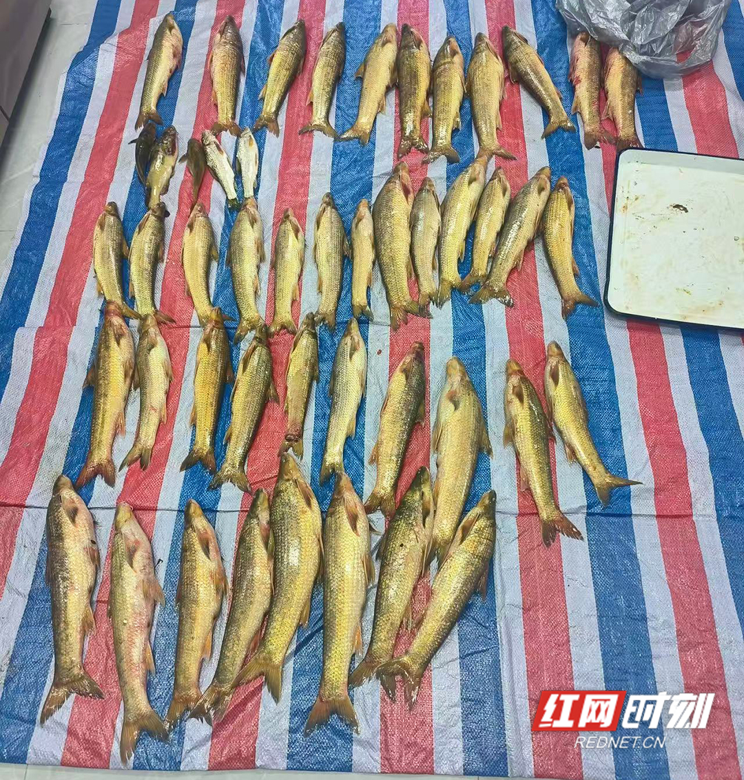 WechatIMG815副本.jpg WechatIMG815副本.jpg