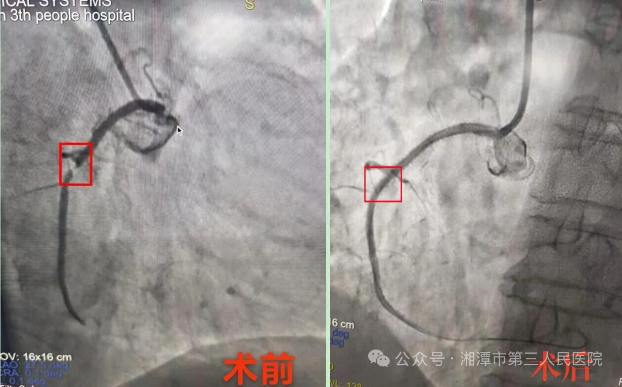 IMG_0495.jpeg IMG_0495.jpeg