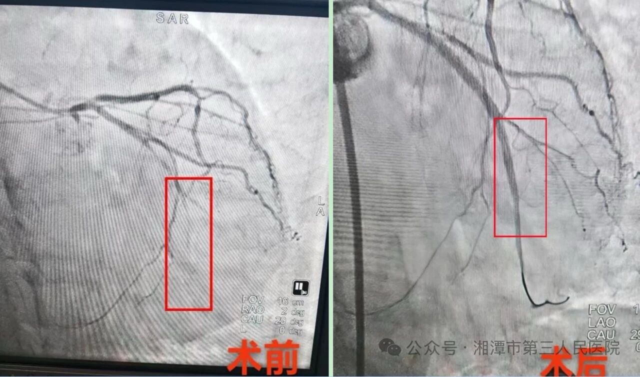 IMG_0497.jpeg IMG_0497.jpeg