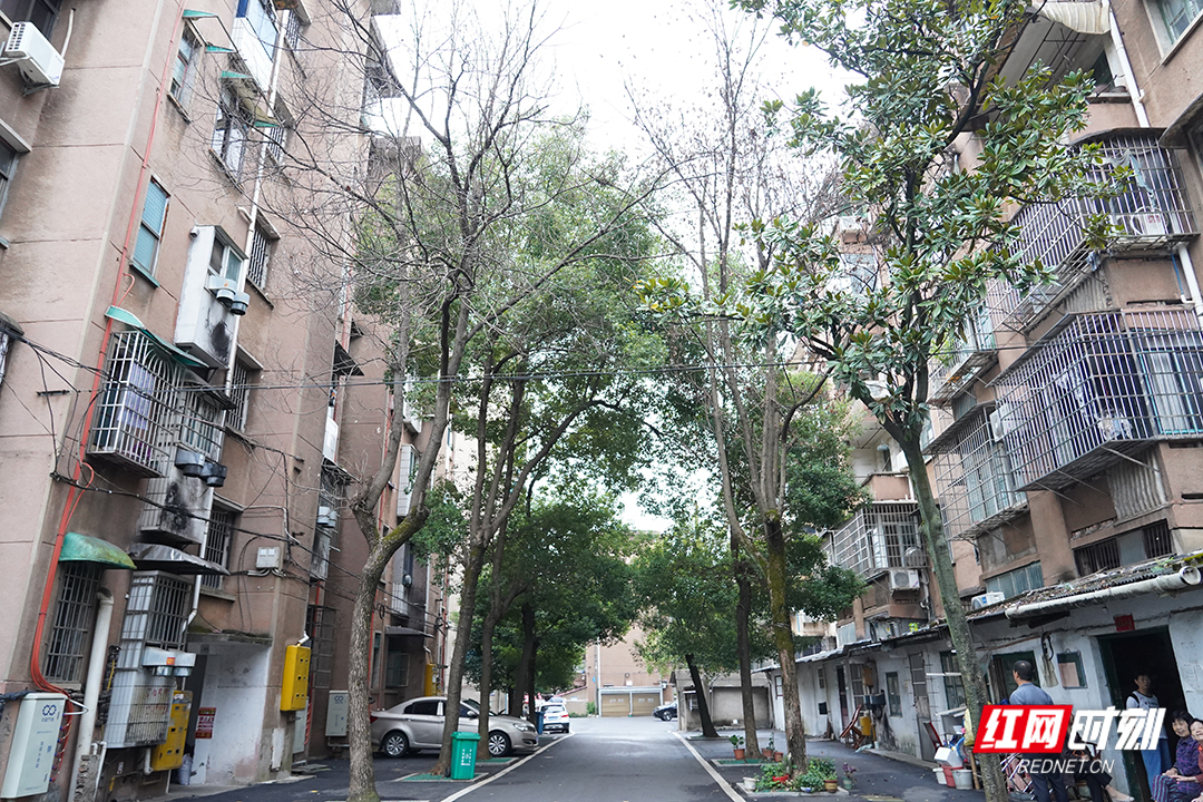 DSC00306副本.jpg