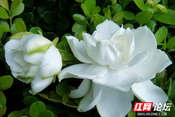 202954fk7cvcc7co7k7obz_副本.jpg 202954fk7cvcc7co7k7obz_副本.jpg