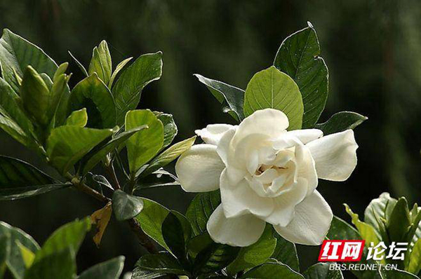 210517j66l1khhkv8lz4z8.jpg 210517j66l1khhkv8lz4z8.jpg