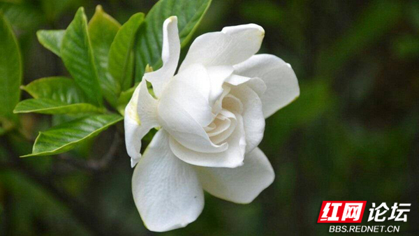 210603nm4pr1pb1ynu1ptc_副本.jpg 210603nm4pr1pb1ynu1ptc_副本.jpg