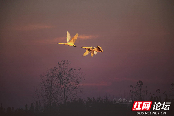 191041oj4fjerrf49eupvj_副本.jpg 191041oj4fjerrf49eupvj_副本.jpg