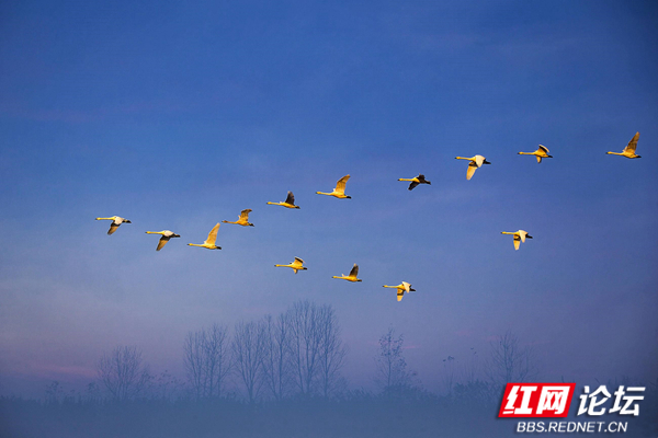 191039owti0x7tjiq740it_副本.jpg 191039owti0x7tjiq740it_副本.jpg