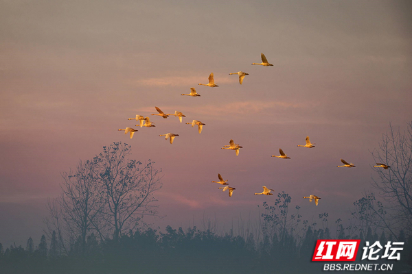 191026vc00p01crp1f9jw4_副本.jpg 191026vc00p01crp1f9jw4_副本.jpg