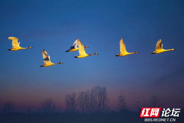 191025bq479f0qwmq97swf_副本.jpg 191025bq479f0qwmq97swf_副本.jpg