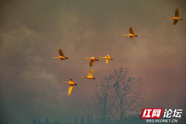 191037hzlgqqvwijhwqqop_副本.jpg 191037hzlgqqvwijhwqqop_副本.jpg