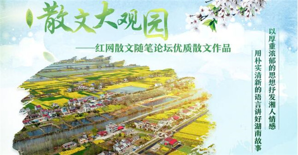 散文大观园.jpg 散文大观园.jpg