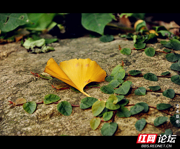 004339m0ep71eqr4117vps.jpg 004339m0ep71eqr4117vps.jpg