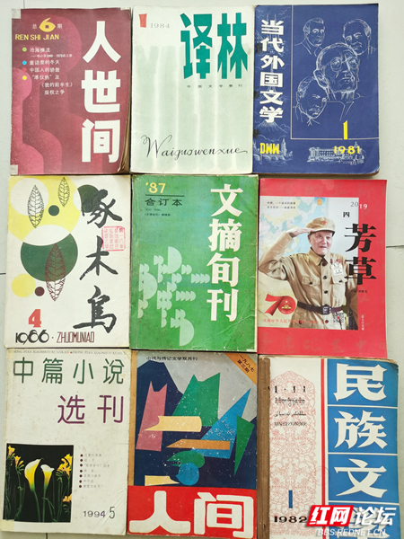 啄木鸟.jpg