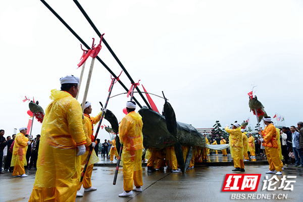 140511husbqx6blbj1jbrs.jpg 140511husbqx6blbj1jbrs.jpg