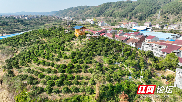 130159xxrafxduoqazfdvc.jpg 130159xxrafxduoqazfdvc.jpg