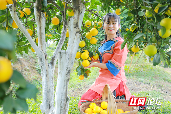 130056kd0o7zd5d0j67zoz.jpg 130056kd0o7zd5d0j67zoz.jpg