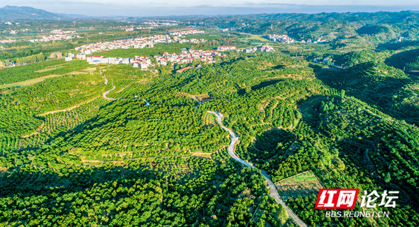 130158kfz97v9n1wv9qt9w.jpg 130158kfz97v9n1wv9qt9w.jpg