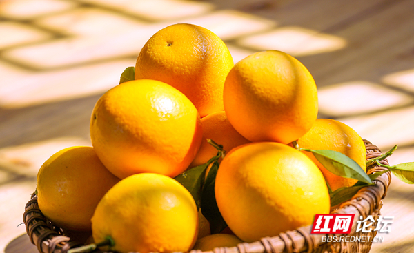 130157i9p9oruof27ozopy.jpg 130157i9p9oruof27ozopy.jpg