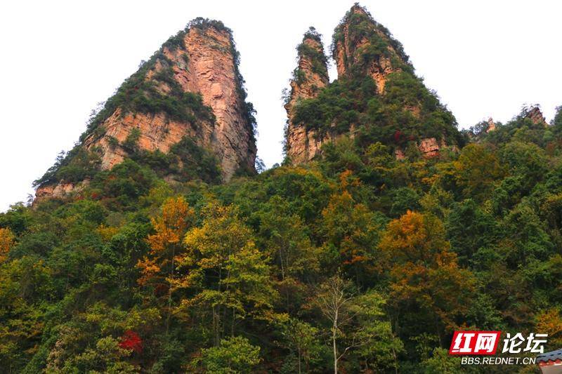 095307xf3o3zzf133osn1n.jpg 095307xf3o3zzf133osn1n.jpg