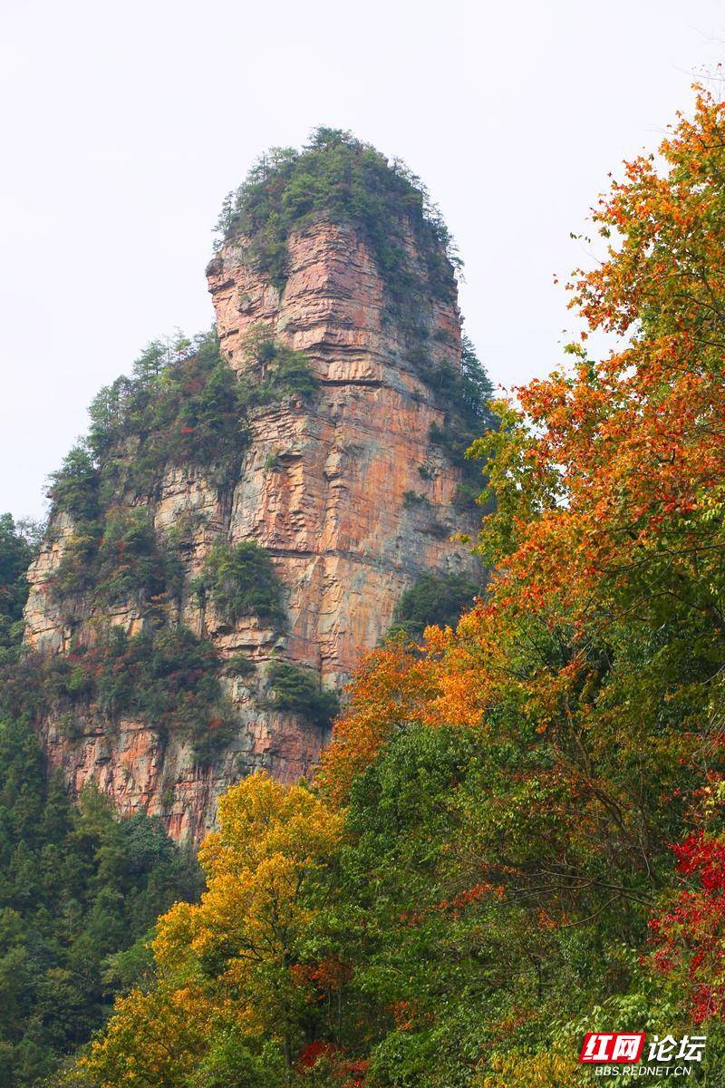 095328w187iaidsu8u873k.jpg 095328w187iaidsu8u873k.jpg