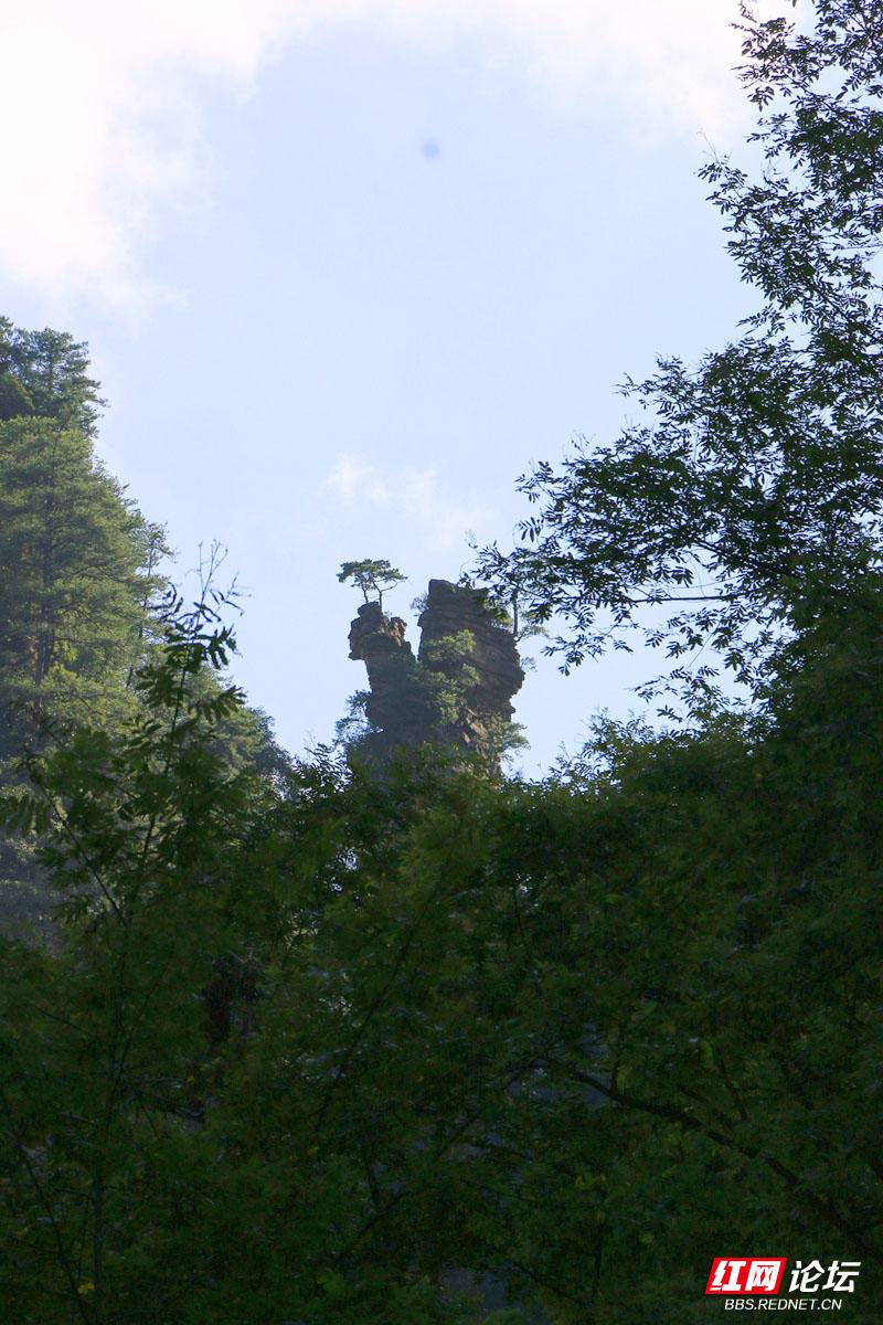 猪八戒背媳妇.jpg 猪八戒背媳妇.jpg