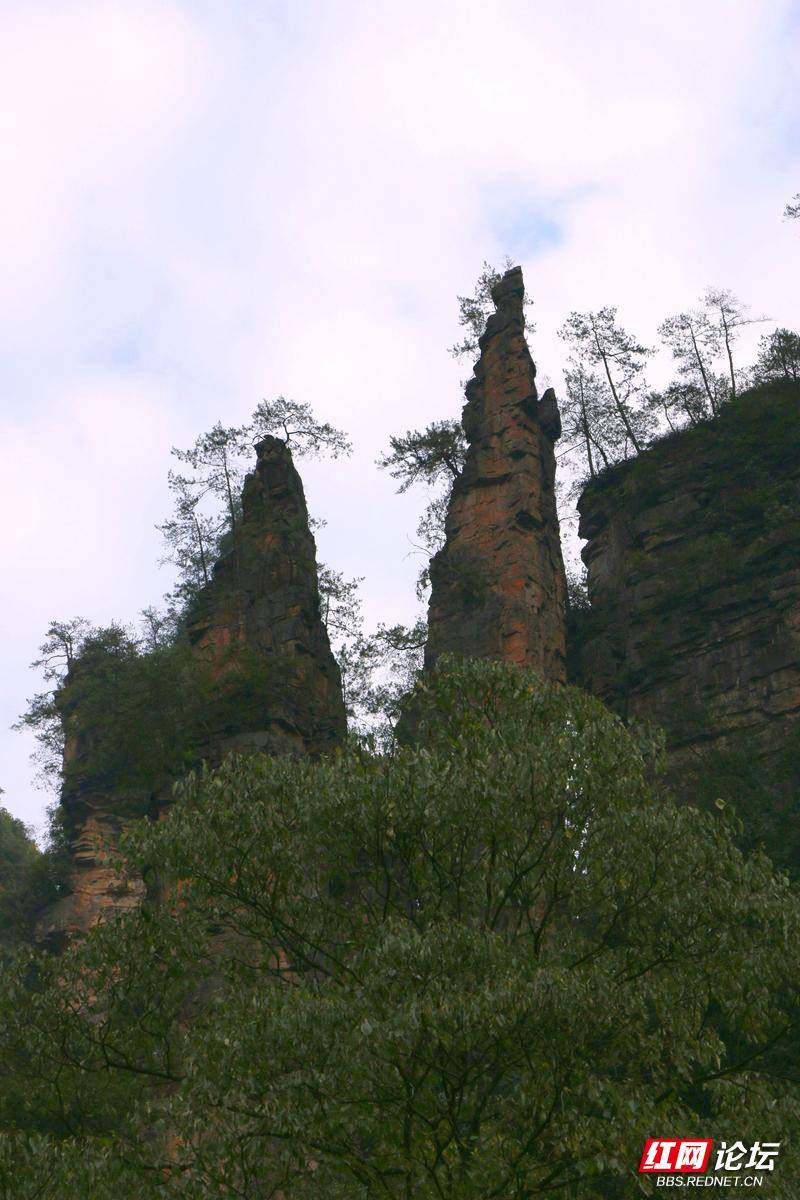 唐僧取经.jpg 唐僧取经.jpg