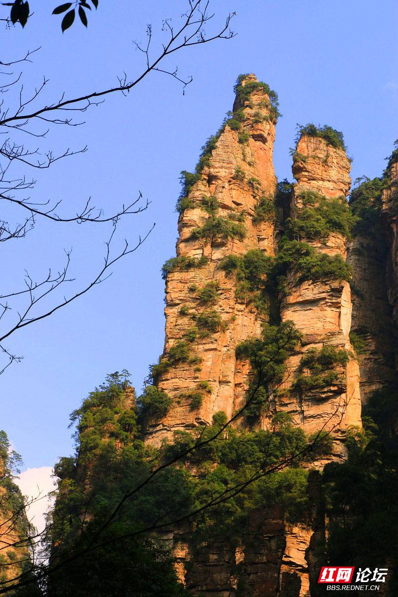 千里相会.jpg 千里相会.jpg