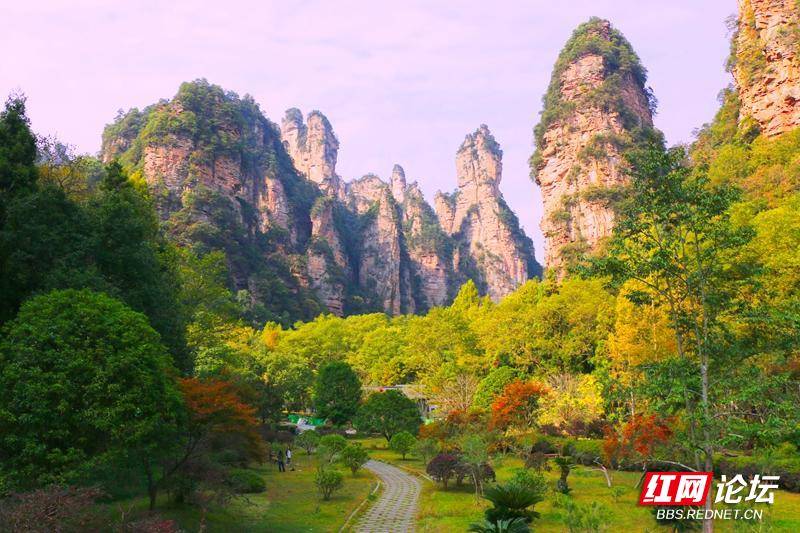 095509ncfotn6zi9c6i9mv.jpg 095509ncfotn6zi9c6i9mv.jpg