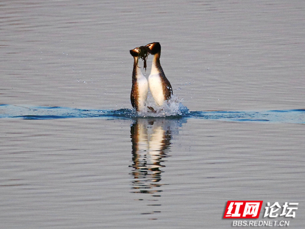 052152a5fd5q2x6tx8d6ez.jpg 052152a5fd5q2x6tx8d6ez.jpg