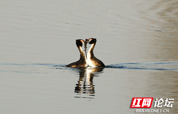 052150ey0wqb48ytxnnxs4.jpg 052150ey0wqb48ytxnnxs4.jpg