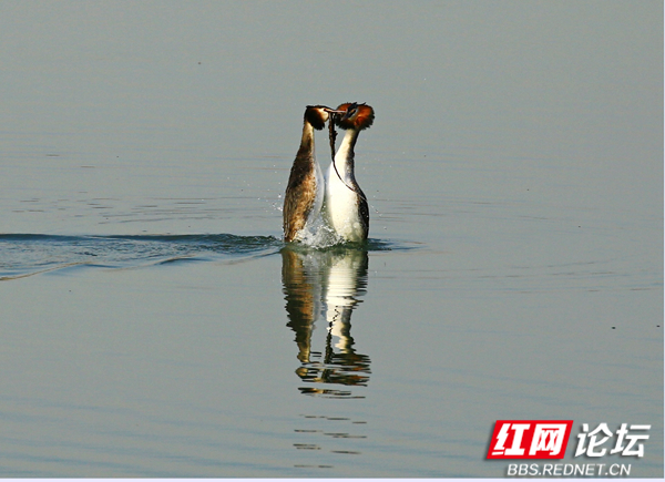 052154fwq3zqlz6em7q333.jpg 052154fwq3zqlz6em7q333.jpg