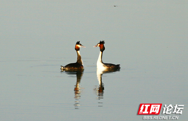 052150lvn7jk92pfr999u6.jpg 052150lvn7jk92pfr999u6.jpg