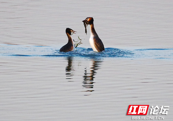 052155dzq54b84ik5sjois.jpg 052155dzq54b84ik5sjois.jpg