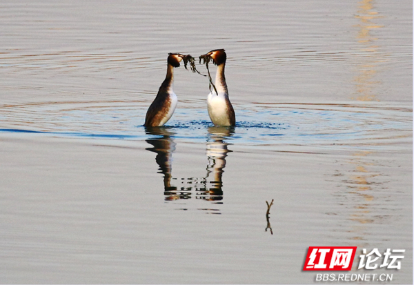 052154uwwtqlelhbn75h25.jpg 052154uwwtqlelhbn75h25.jpg