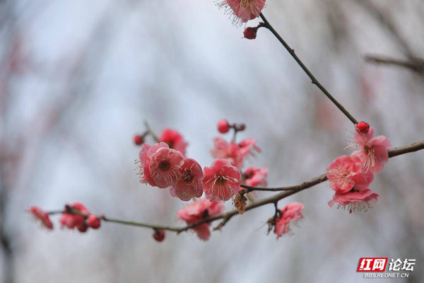 105715rqtmiq2yub42uxun.jpg 105715rqtmiq2yub42uxun.jpg