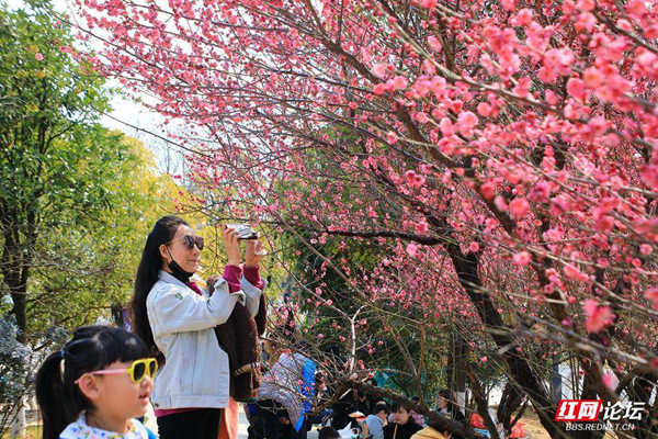 105442d9vnevxj3jundd1x.jpg 105442d9vnevxj3jundd1x.jpg