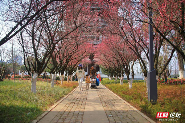 105528wgf2tt82g8rz1gtu.jpg 105528wgf2tt82g8rz1gtu.jpg