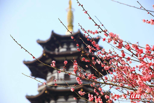 105444ig69wjc6bwjzg9y3.jpg 105444ig69wjc6bwjzg9y3.jpg