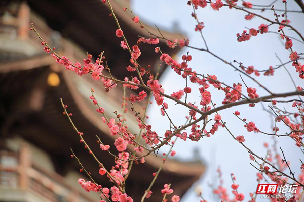 105914jz2267hc36p7rdtt.jpg 105914jz2267hc36p7rdtt.jpg