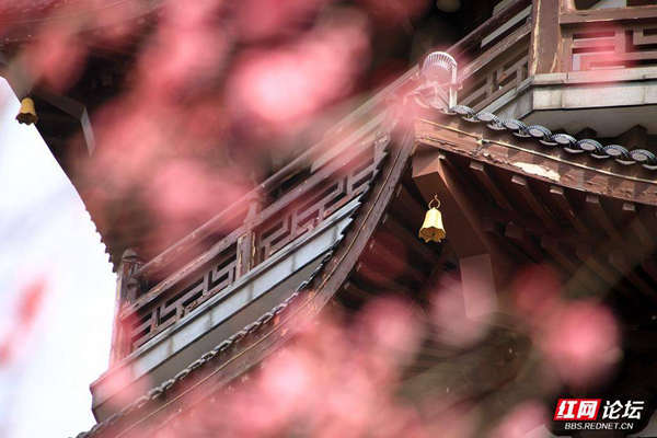 105825cv7boozav7o1kb7k.jpg 105825cv7boozav7o1kb7k.jpg