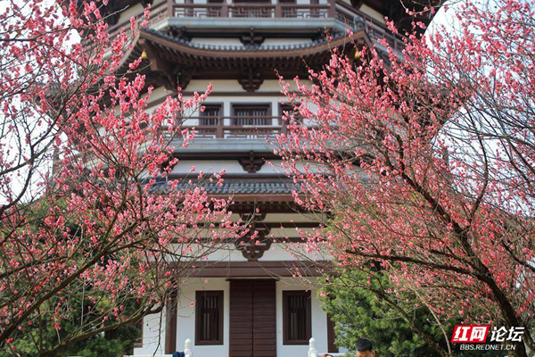 105602m9na699nn9wqiw9g.jpg 105602m9na699nn9wqiw9g.jpg