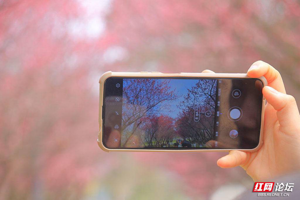 105638xr2stmuf11u9ur2z.jpg 105638xr2stmuf11u9ur2z.jpg