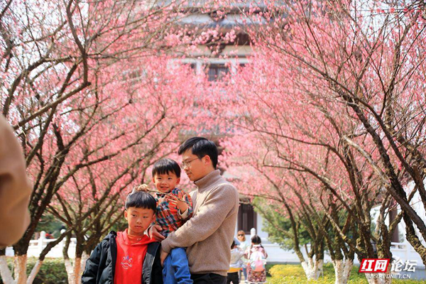 105602gssr0rtibr4fsesb.jpg 105602gssr0rtibr4fsesb.jpg